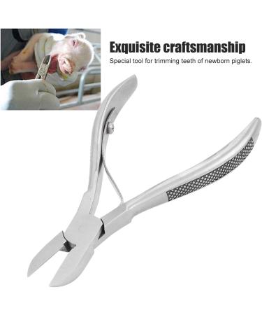 Pwshymi Stainless Steel Dental Forceps for Piglets - Comfortable Easy to Clean Dental Scissors for Newborn Teeth Trimming - Buy Online on SooperMarket.com