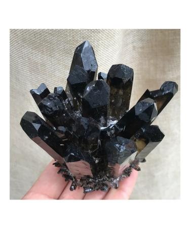 Natural Black Smokey Quartz Crystal Cluster Specimen Suitable for Home HOMEZHOU (Size : 800-900g)