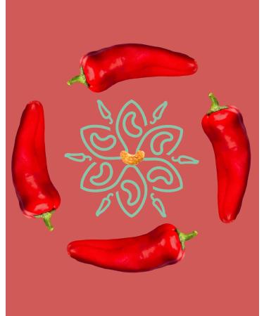 Peri Peri Cashews by Karma Nuts - Savory & Spicy Vegan Snack, 1.5oz (12 Packs), Gluten Free, Low Carb - Buy Online on SooperMarket.com