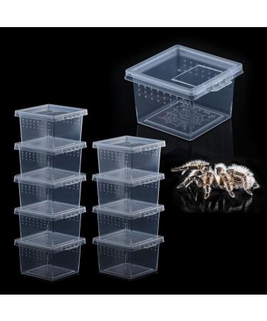 10 Pcs Insect Spider Terrariums Breeding Box Hatching Container Small Reptile Scorpion Centipede Acrylic Breeding Box (Small Size)