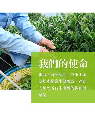 Taiwan unique tea Lishan Snow Green Bud Tea Fragrance Oolong Tea 150g*4 - Buy Online on SooperMarket.com