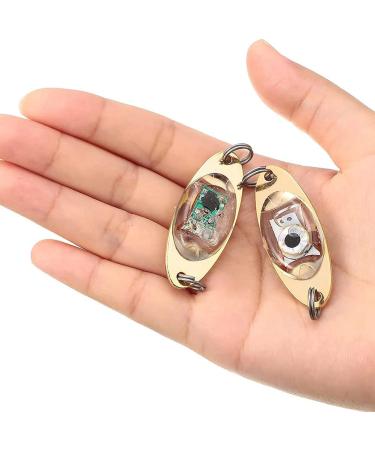 OUHUAN 10pcs LED Fishing Lure - Underwater Blinker Halibut Flasher for Trolling & Deep Drop Fishing Light - International Shipping Available - Buy Online on SooperMarket.com