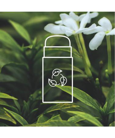 ATTITUDE Deodorant - Vegan & Cruelty-Free, Plastic-Free, Plant-Based, White Tea Leaves - 3oz - Buy Online on SooperMarket.com