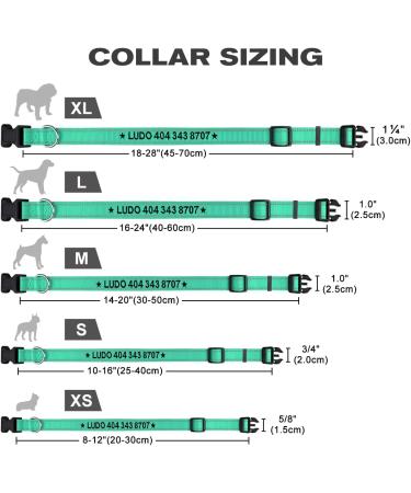Tagme Personalized Dog Collar for Small Dogs - Embroidered Reflective Nylon Collar with Pet Name & Phone Number - Turquoise XS (1 Pack) - Buy Online on SooperMarket.com