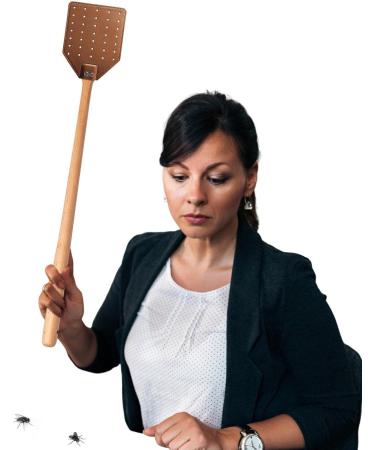 Virtcooy Fly Swatter | Long Handled Fly Hunting Hand Tools Indoor Bee Swatter for Living Room Kitchen Bedroom - Buy Online on SooperMarket.com