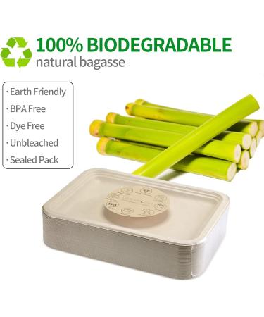 Bloomoon 50 Pack 14 Inch Heavy-Duty Disposable Food Trays - Compostable Paper Platter Plates for Crawfish, Lobster, Crab, BBQ - Extra Large Serving at Party - Buy Online on SooperMarket.com