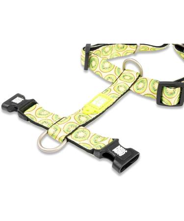 Max & Molly H-Dishes - Kiwi Design | Premium Quality Pet Bowls for International Shipping - Buy Online on SooperMarket.com