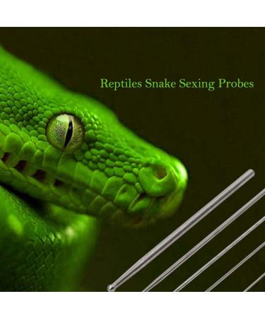 PETSTARCX 6 Pack Round Ball Tip Reptiles Snake Probe Portable Probe Kit - Buy Online on SooperMarket.com
