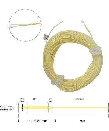 Aventik Trout Fly Line - Weight Forward Floating Cord with Exposed Loop | Easy Line ID - Milk Yellow 8WT - 1 Pack - Buy Online on SooperMarket.com