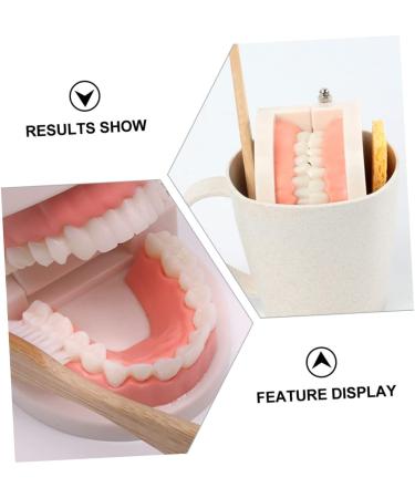Shop Healvian 3 Sets Early Dental Education Toys - Wooden Denture Model for Kids | Reusable Toiletries - Buy Online on SooperMarket.com