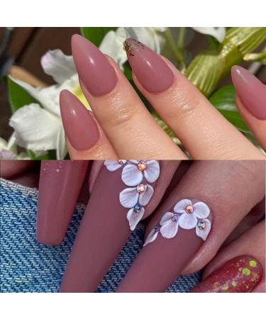 Lofuanna 17g Professional Bean Paste Color Acrylic Powder - Salon Quality Nail Extension System (06) - Buy Online on SooperMarket.com