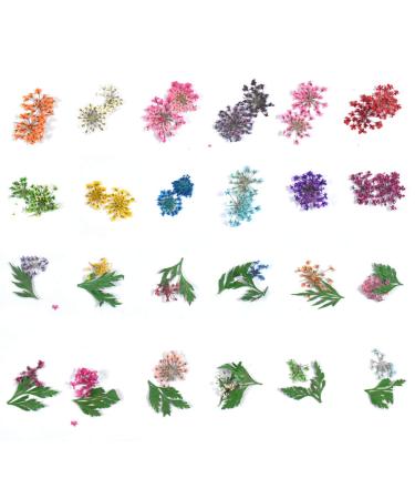 Dokpav 2 Boxes Dried Flowers for Nail Art - 24PC Green Leaves & Real Flower Set with Curved Tweezers | 3D Nail Art Accessories for Stunning Nail Decor - Buy Online on SooperMarket.com
