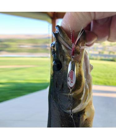 Goture Fishing Spoons Hard Lures for Saltwater Casting, Trout Bass Pike Walleye - Bucktail Spoon Lures 10pcs 1.85/0.35 oz - Buy Online on SooperMarket.com