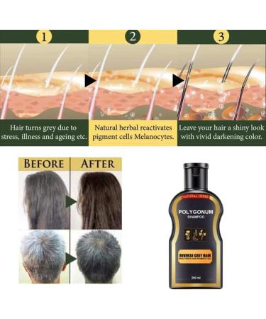 Organic Hair Darkening Shampoo and Conditioner Bar - Volumizing & Moisturizing Black Hair 200ML - Buy Online on SooperMarket.com
