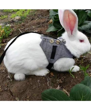 Rabbit Harness Multipurpose Adjustable Soft Pet Rabbit Walking Harness Leash Lead Gentlemanly Style Bunny Vest for Small Animal (M) - Buy Online on SooperMarket.com