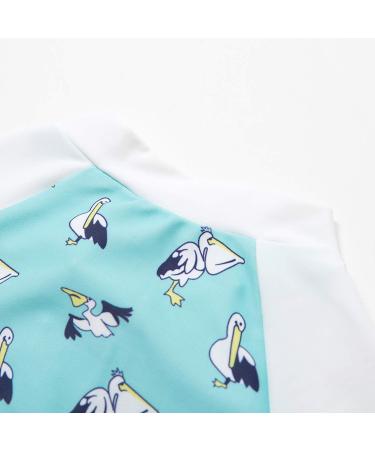 Bonverano Baby Boys Swimsuit UPF 50+ Long-Sleeve Pelican 6-9 Months - Buy Online on SooperMarket.com