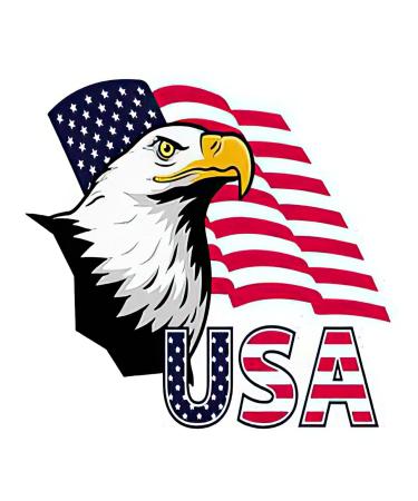 Dopetattoo 6 Sheets Temporary Tattoos Eagle America Usa Flag tattoo Temporary tattoo Neck