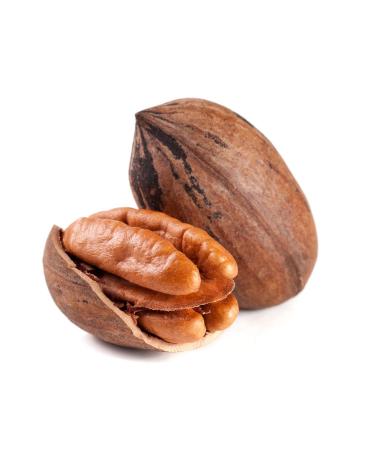Buy 1001g Raw Pecan Halves - Natural Untreated California Nuts | Non-GMO Additive-Free Pecan Snack - Buy Online on SooperMarket.com