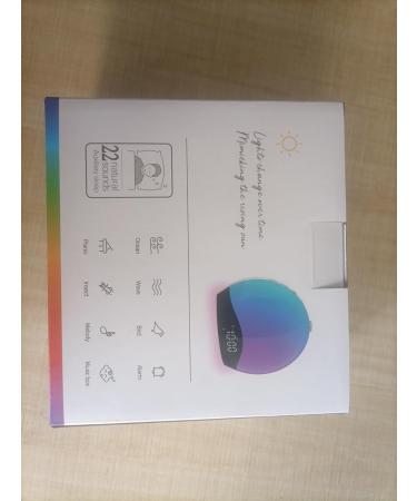 Bluetooth Daylight Alarm Clock with Sunrise Simulation & 22 Natural Sounds | Wake Up Light & Bedside Lamp for Kids - 20 Brightness Levels - Buy Online on SooperMarket.com