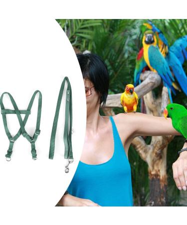 Felenny Adjustable Bird Dishes & Leash - Essential Outdoor Accessories for Scarlet Red Ara Sun Conure & Nymphensittich - Anti-Bite Large Size - Buy Online on SooperMarket.com