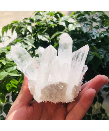 350g-900g Natural Clear Quartz Stone White Crystal Cluster 1pc HOMEZHOU (Color : 1pc 510g-560g)