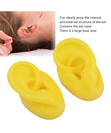 Silicone Ear Model Set - Yellow, Waterproof, Bubble-Free for Acupuncture Practice and Hospital Teaching - Buy Online on SooperMarket.com