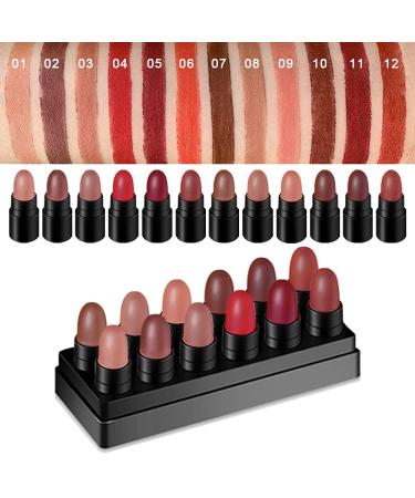 12Pcs Capsule Pills Lipstick Mini Matte Lipstick Set | Dark Brown Red Nude Lipstick Samples - Matte Makeup Kit for Women & Teens - Buy Online on SooperMarket.com