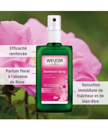 Weleda Wild Rose Deodorant 100ml Rose 100 ml (Pack of 1) - Buy Online on SooperMarket.com