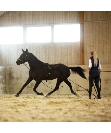 Horze Lunging Surcingle - Black Nylon - Pony Size - Buy Online on SooperMarket.com