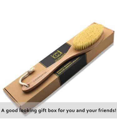 ICANdOIT Dry Brushing Body Brush - Long Handle for Cellulite and Lymphatic Drainage - Natural Agave Cactus Tampico Bristles - Men & Women - Buy Online on SooperMarket.com