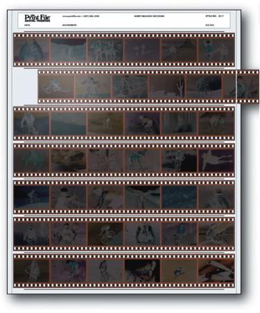 Print File 35mm Negative Pages - Pack of 100 | Holds 7 Strips of 6 Frames | Archival Quality - Buy Online on SooperMarket.com
