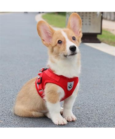 LOOK ANDE HOUSE Cauling Small Dog & Cat Dishes with Leash - Reflective Soft Padded Air-Mesh Dishes for Puppies & Small Dogs (S: Chest 29-33cm) - Red - Buy Online on SooperMarket.com