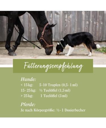 Buy Tierlieb Sanct Bernhard Schwarzk mmel l for Horses & Dogs - 1L of Premium Black Cumin Oil (Nigella sativa) - International Shipping Available - Buy Online on SooperMarket.com