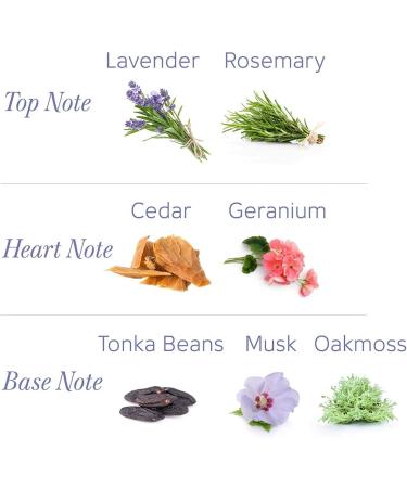 Yardley London Fresh Floral Fragrance Locked in a Fine & Silky Perfumed Talcum Powder (Yardley London English Lavender Pack of 3 250Gram) - Buy Online on SooperMarket.com