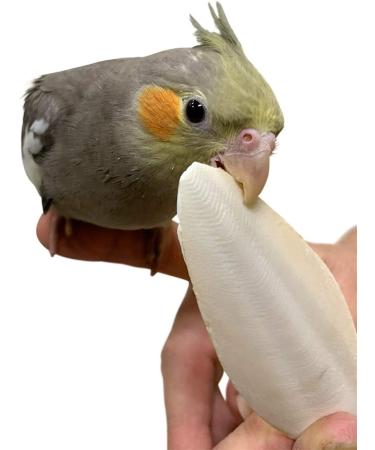 Pack of 4 Medium Cuttlebones for Birds, Tortoise, Snails, and Parakeets - Calcium Block Alternative for All Breeds - 3.5 to 4 Inches - Buy Online on SooperMarket.com