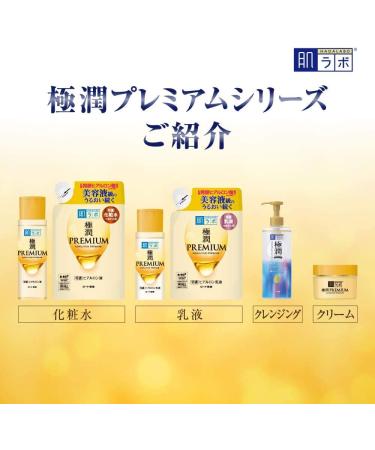 (Set of 2) Hada Labo Gokujun Premium Hyaluronic Acid 170ml - Hydrating Skin Care Serum - Buy Online on SooperMarket.com