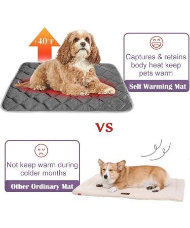 Self-Heating Cat Mat - Thermal Pet Bed Mat - 16 x 20 - Grey - Buy Online on SooperMarket.com