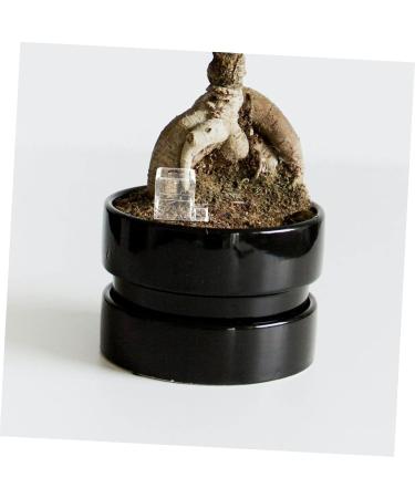 BCOATH Pet Water Feeder Ants Feeding Bowl Ant Feeding Bowl Water Bowl for Ants Mini Liquid Feeder Plastic - Buy Online on SooperMarket.com
