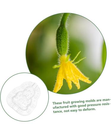 Happyyami Gardening Tool 6 Pcs Vegetable Mold Fruits Shaping Planting Small Mold Shaper Multifunction 9x8cmx2pcs Transparentx2pcs - Buy Online on SooperMarket.com