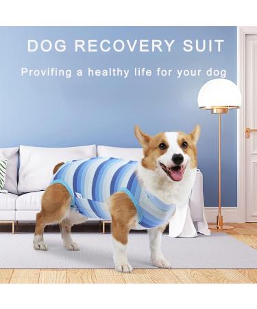 Newsbirds Dog Surgery Recovery Suit for Small Dogs - XL Blue | Post-Op Puppy Wound Protection - Buy Online on SooperMarket.com