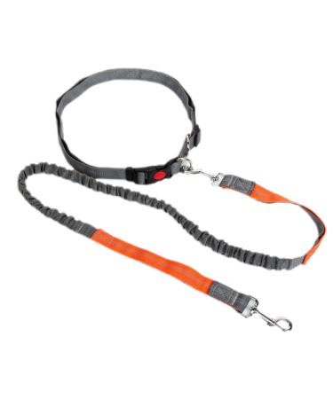 eBoutik Hands Free Dog Lead for Running Cycling or Walking With Anti-Pull Shock Absorbing Bungee Pet Leash Adjustable Waist Belt for Adults Connected to Dog/Puppy Walking Rope (Orange)