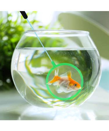 Brine Shrimp Net Small Aquarium Fish Net Shrimp Separation Net for Artemia Eggs Brine Shrimp Hatchery - Buy Online on SooperMarket.com