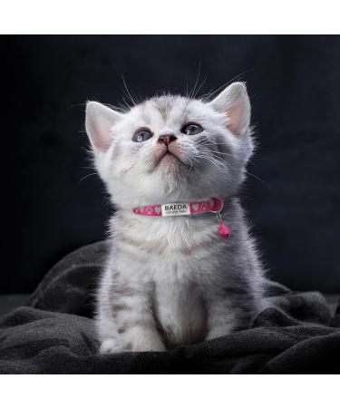 Shop Tagme Cat Neck Band - 2-Pack Reflective Collars for Kittens | Personalized Safety with Bell & Lock - Hot Pink 15-20 cm - Buy Online on SooperMarket.com
