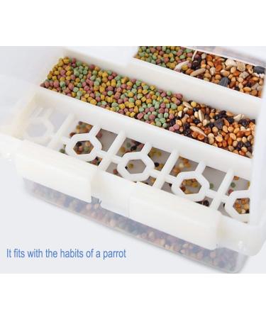PINVNBY No-Mess Bird Feeder for Parrots - Seed Food Container with Perch - Ideal for Budgerigar, Canary, Cockatiel, Finch, Parakeet, and More - Buy Online on SooperMarket.com