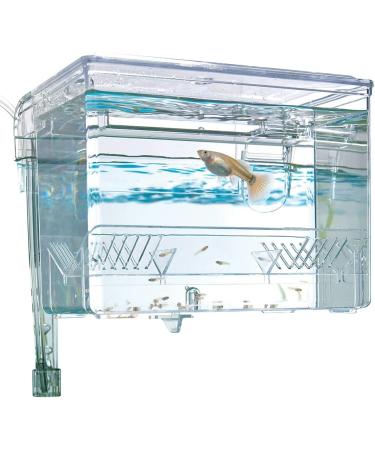 Fluval Medium Multi-Chamber Holding and Breeding Box - Ideal for Fish Breeding and Holding - Buy Online on SooperMarket.com