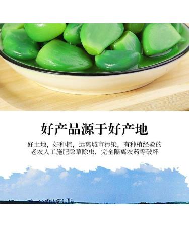 Shandong authentic Laba garlic Instant green garlic 250G/bag Sweet and sour garlic Delicious pickle Appetizer Vinegar pickled garlic Instant nacks Fast food Chinese spicy snacks (2 bags) - Buy Online on SooperMarket.com
