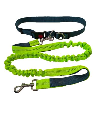 QitinDasen Hands Free Dog Leash Grey Adjustable Waist Belt and Green Dual-Handle Retractable Bungee Leash Jogging Dog Leash with Reflective Stitching
