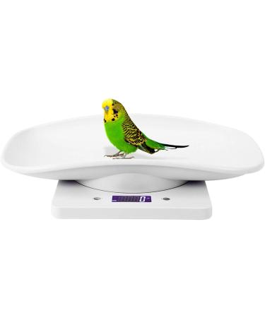 Bagima 10kg1g Digital Small Pet Weight Scale for Cats Dogs Measure Tool Electronic Kitchen Scale Small Animal Scale Puppy Weighing Scale Electronic Kitchen Scale for Cat Dog Parrots - Buy Online on SooperMarket.com
