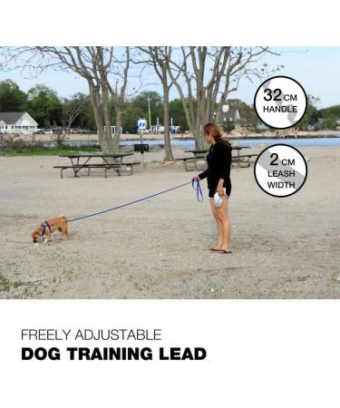 Buy Loutep Nylon Dog Towline Leash - 3m 5m 10m 15m 20m Options with Padded Handle - Strong & Durable - Blue - Buy Online on SooperMarket.com