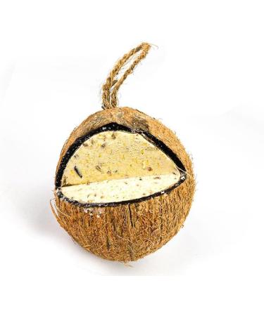 Box of 12 Chubby Wild Bird Food Whole Filled Coconuts - Buy Online on SooperMarket.com